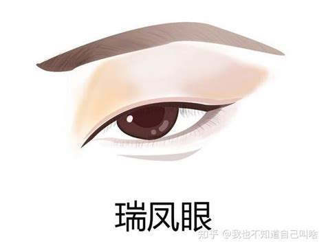 桃花眼型|中国人常见的10种眼型，你是哪一种？